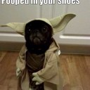 Ginger Laughlin - @gidget319055 - Twitter