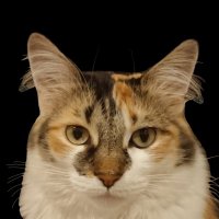 JasonBall34 (@jasonball34) 's Twitter Profile