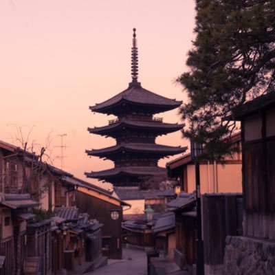 kino_pat's profile picture. LEC2026入門宮口クラス途中参戦のアラサーです。保有資格: TOEIC950,応用情報技術者,日商簿記2級等。Fラン文系大卒後、メーカーで海外営業やICT推進系の職務経験を経て内外特許事務の事務職2年目。令和5年10月中旬より勉強開始→R6短答 30点❌→ R7短答 23☠️