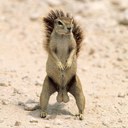 John Setnicka - @JJS946 - Twitter