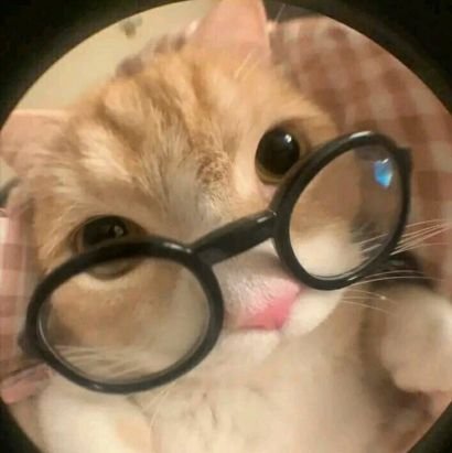 jaceygrayb's profile picture. 🇱🇧 🇵🇸
  (つ◕_ ◕ )つ *:･ﾟ✧