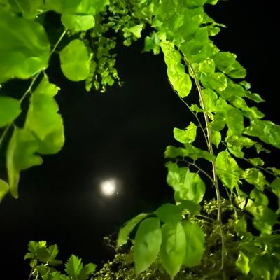 strivingfwd's profile picture. 