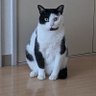 Ny_flee's profile picture. GIGAスクールのデバイス管理、キッティング統轄、PM補佐を業務委託でやってます。
Windows端末なのでIntune,Entraです。
技術者というよりはビジネス寄りで課題解決のための手段としてITの活用を支援するといった仕事がしたい。
安全確保支援士やっぱ取りたい。