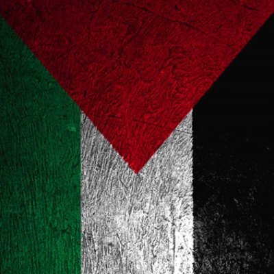 #standwithpalestine