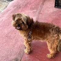 Pepe valcarcel (@pepevalcarcel) 's Twitter Profile