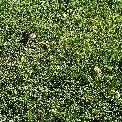 Gtff750858's profile picture. Ggtyffd