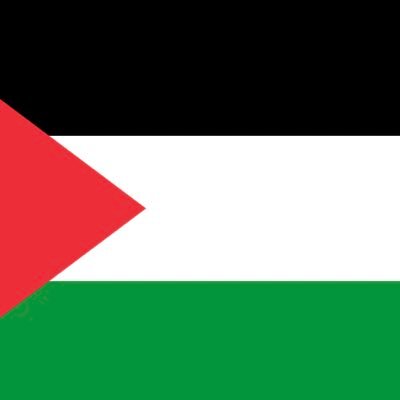 chuispala's profile picture. 