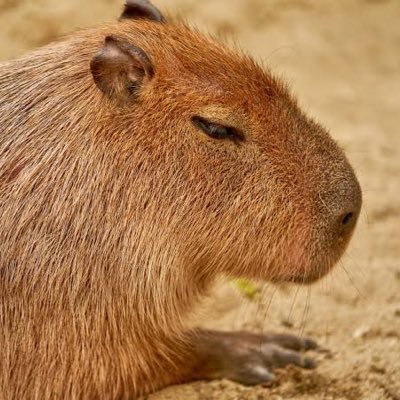 as0TYt3iI078614's profile picture. 学生です。