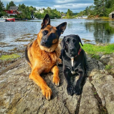 aleisaac's profile picture. 