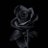 _saniaziz's profile image