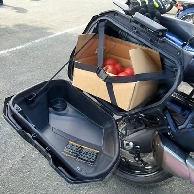 stofield→野菜輸送機に改名。
二輪大好き ロードバイク&バイクに乗ってます。最近は低山登山も。
現在、GSX-S1000GT '22(RBの中古)
アニメ特撮や世の中のことも書いちゃうよ。