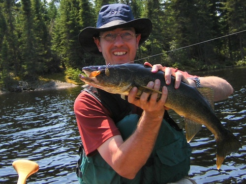 Dave_Orrick's profile picture. I'm a Star Tribune reporter but this is a not-well-used personal account. For news, follow me @DaveOrrick