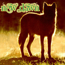 New Dawn - @NewDawnPack - Twitter