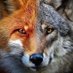 Nature & Cosmos (@nature2cosmos) Twitter profile photo Nature & Cosmos (@nature2cosmos) Twitter profile photo
