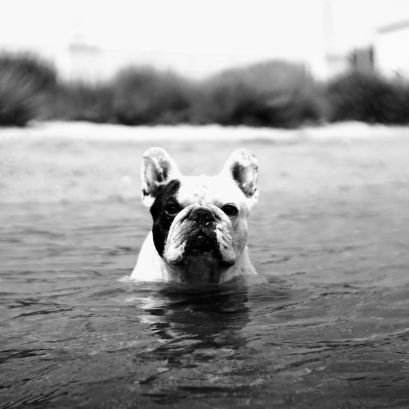 MauRusso's profile picture. Disegnare in un mare di parole