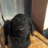 roha_hiba's profile image
