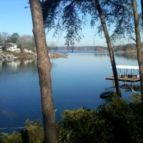 neillja's profile picture. 