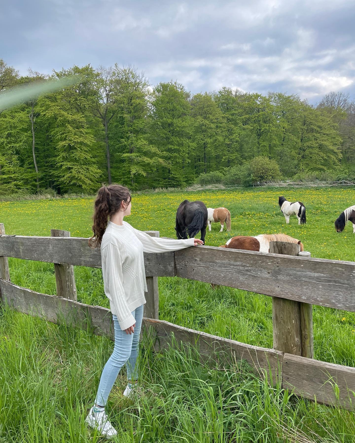 Nepesle112730's profile picture. 