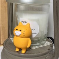 そらまめこ (@magasoramame) 's Twitter Profile Photo そらまめこ (@magasoramame) 's Twitter Profile Photo