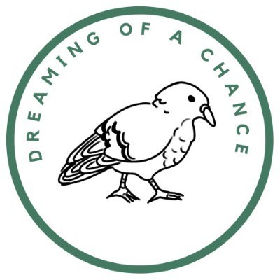 501(c)(3) Pigeon Rescue Helping Abandoned Birds
Educating and Advocating for Pigeons Everywhere
Learn More About Us Below