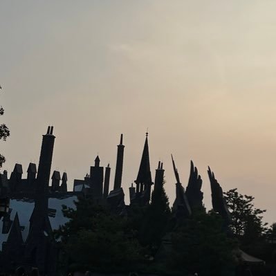 jackpeng264's profile picture. 