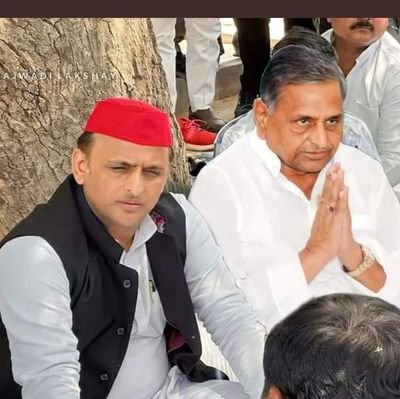 samajvadi party jindabad