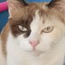 nong.pun (@thnthngs) Twitter profile photo nong.pun (@thnthngs) Twitter profile photo