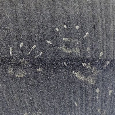 D87DTNmsJ408fVI's profile picture. 