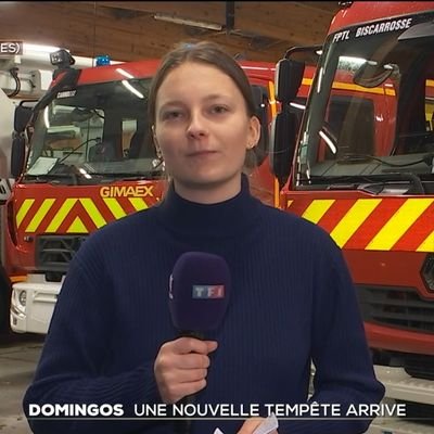 Journaliste pour TF1