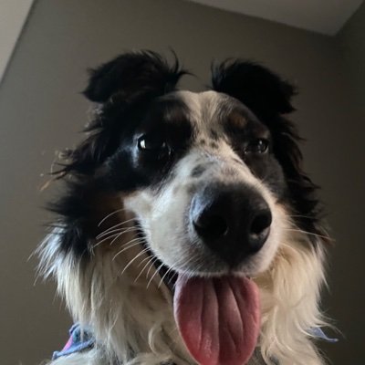 Ju6261642687622's profile picture. 