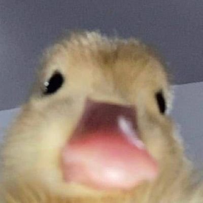 CabananJeem's profile picture. HAHAHAHA