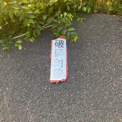 yoda0505hina's profile picture. 橋本奈々未さんという方を推してました。