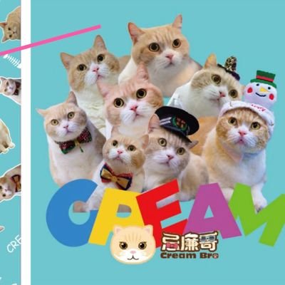 香港の猫店長「クリームあにき（忌廉哥）｣(2020年5月24日天長に昇進)とその家族「クリームふぁみりぃ(忌廉家族)」(あねさん、高妹、ケーキ🎂、ミルク🍼、沙糖)日本公式アカウント。インスタグラムhttps://t.co/FbrZ2Xe6Z9お問い合わせ先メールcreamaniki@yahoo.co.jp