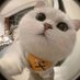 kevin kevin (@kevinkevin7238) Twitter profile photo kevin kevin (@kevinkevin7238) Twitter profile photo