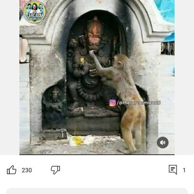 Sushilhindu1997's profile picture. Civil Engineer...
Hindu Activist...