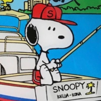 meohfish's profile picture. pspspspss