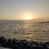 Amey joshi (@ameyjoshi1011) 's Twitter Profile