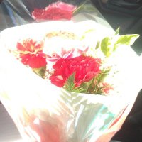 zipangのfather 国賊討伐 (@fatherzipang) 's Twitter Profile
