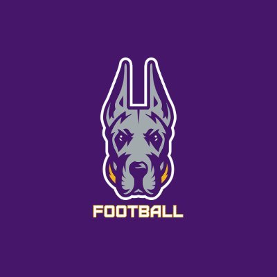 UAlbanyFootball Profile Picture