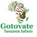 GOTOVATE TANZANIA SAFARIS (@Gotovatetzsafar) Twitter profile photo