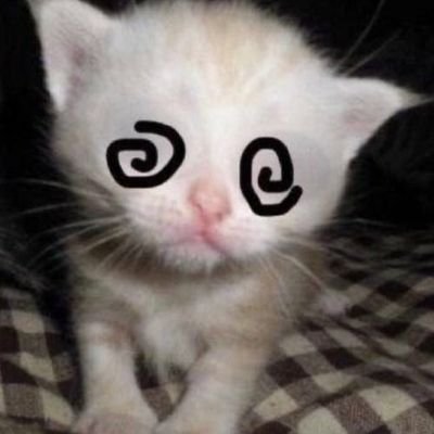 juliaさんのプロフィール画像