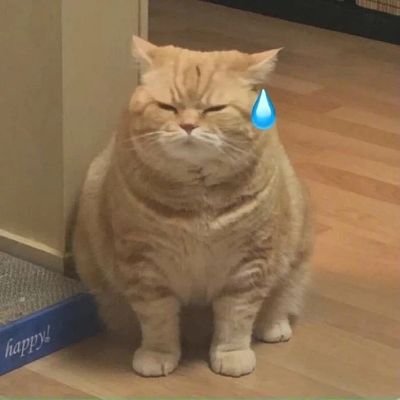 ljinA8's profile picture. 泛，主4i，intp，🚪520（纯绿，自用超好用蜂鸟VPN：https://t.co/UHyJvZHkPE