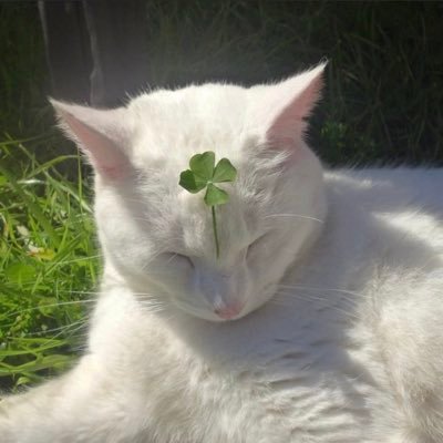 wizddo9's profile picture. 안된다 못한다 하지말고 어떻게 긍정적으로