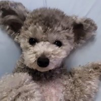 F ³⁰⁹ (@serenitynyf) 's Twitter Profile Photo F ³⁰⁹ (@serenitynyf) 's Twitter Profile Photo