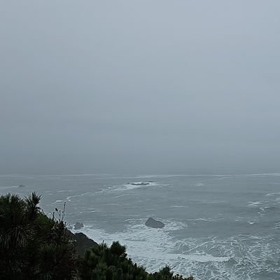StarchyArchie49's profile picture. My account for following Christianity, Religion, Philosophy, Art,  Science, Outdoors/Homesteading, and Self Improvement Topics