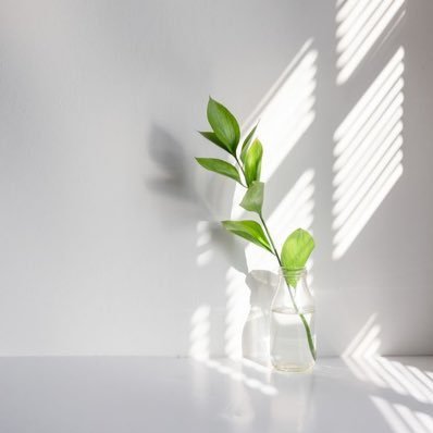 Amooh60's profile picture. الحمدلله ما بين ضِحكة أهل وأصدقاء وأمان و حياة طيبه،الحمدلله دائمًا و أبدًا 📻🌿.