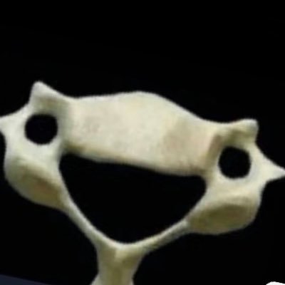 Melancholy97517's profile picture. 不约。。gay勿扰，随便发发随便看看XMU Bsc. NAU Msc. PCU Ph.D