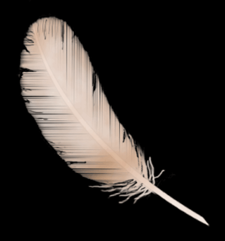 pierremondot's profile picture. 