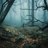 Anandthebiotech's profile picture. Independent