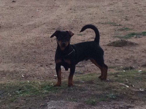 CostruzioniDa's profile picture. 